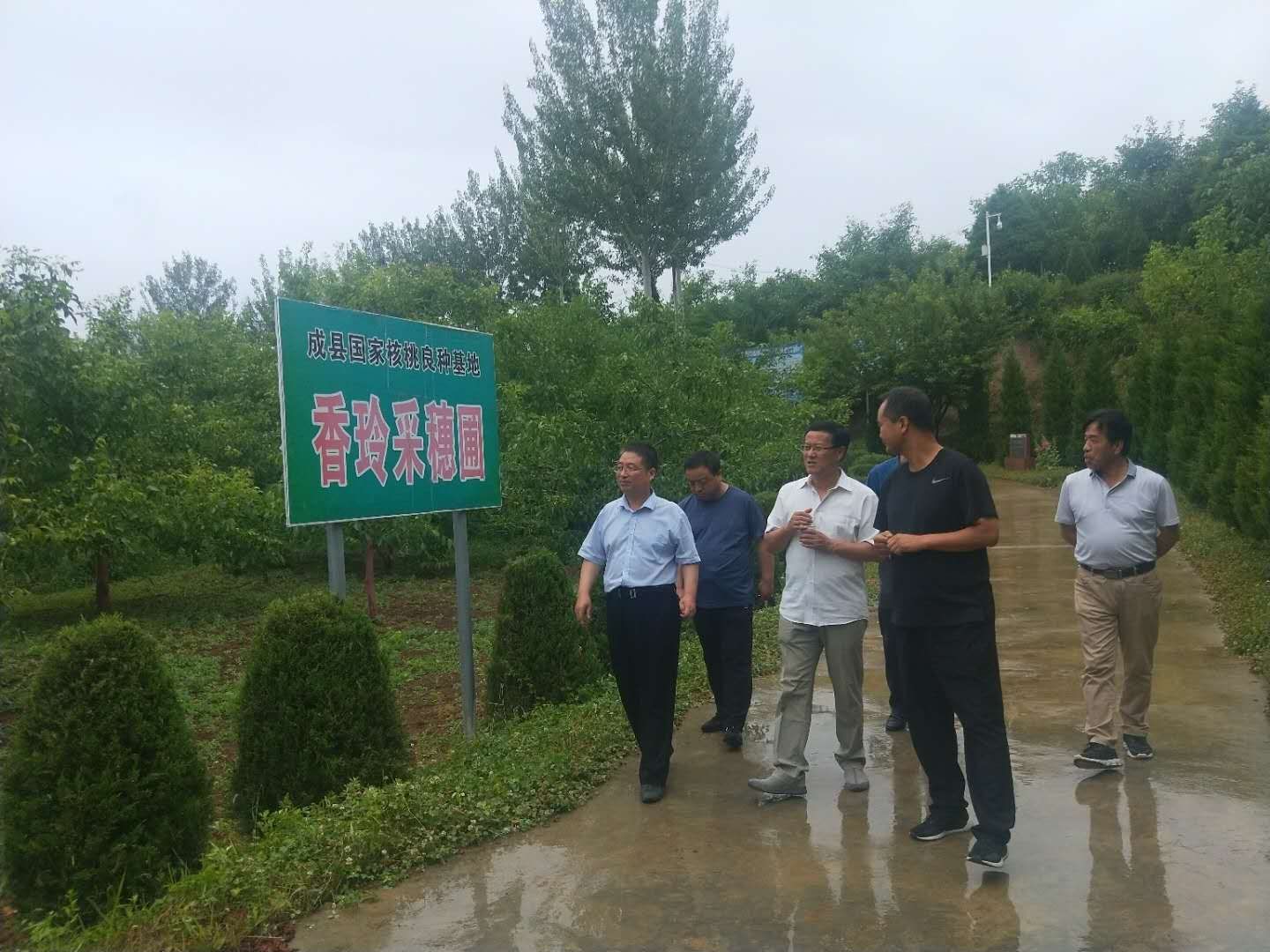 说明: 国家级核桃良种基地 (4).jpg